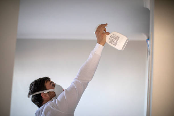 Best Mold Cleaning Services  in Hobart, IN