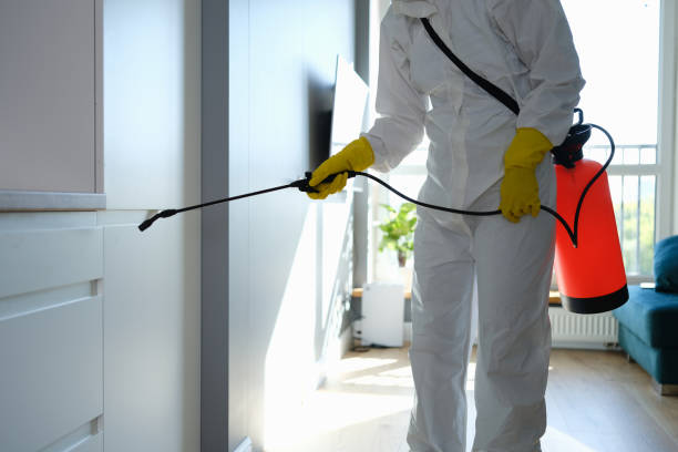 Mold Removal Process in Hobart, IN