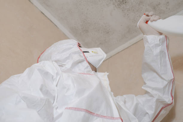 Best Toxic Mold Removal  in Hobart, IN