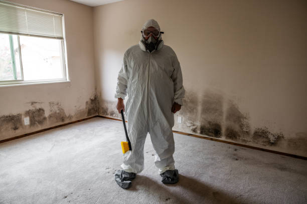 Certified Mold Removal in Hobart, IN